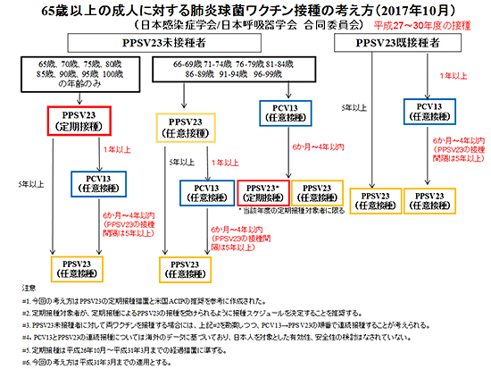 65歳以上の成人に対する肺炎球菌ワクチン接種に関する考え方（2017年10月）