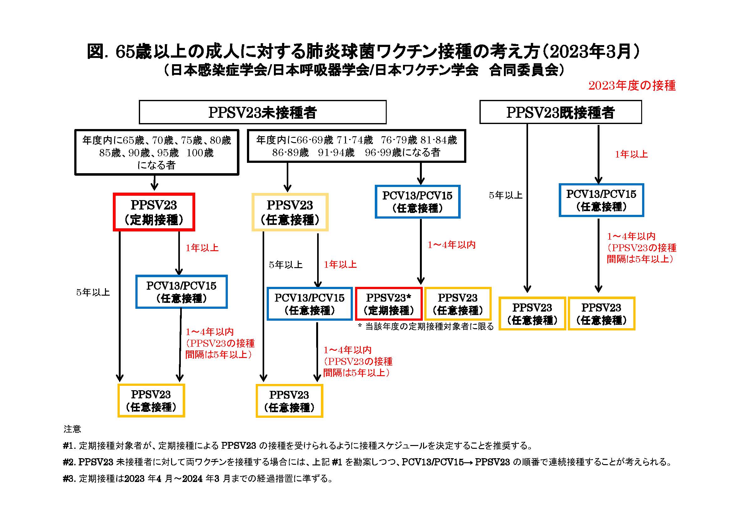 65歳以上の成人に対する肺炎球菌ワクチン接種に関する考え方（第4版 2023年3月24日）｜ガイドライン・提言｜日本感染症学会